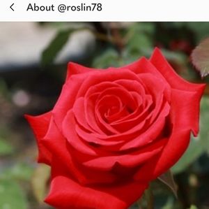 ⚠️⛔Do not buy from @Roslin78 aka Mary Smith!